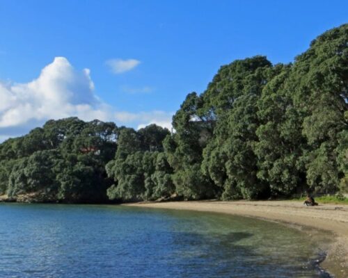 Herne Bay, Grey Lynn & Westmere Herne Bay, Grey Lynn & Westmere